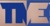 Total Management Experts Logotype