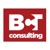 BCT Consulting, Inc. Logotype