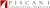Piscani Consulting Services Logotype