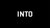 INTO Branding Logotype
