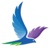 Hawk Marketing Logotype