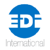 EDI International, PC Logotype