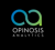 Opinosis Analytics Logotype