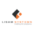 Lisam Systems Logotype