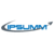 IPSUMM Inc. Logotype