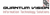 Quantum Vision LLC Logotype