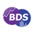 BDS Analytics Logotype