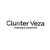 Cluster Veza Logotype