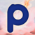 Agência Ping Digital Logotype