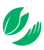 Ellis Norton + Co Logotype