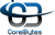 CoreiBytes Codetech, Inc. Logotype