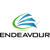 Endeavour Solutions Inc Logotype
