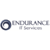 Endurance IT Services Logotype