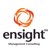 Ensight Management Consulting Logotype