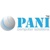 Pani Computer Solutions Logotype