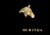 Equine Digital Logotype