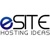 eSite - Iraq Logotype