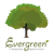 Evergreen Logotype