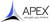 Apex Infotech India Digital Marketing Services Logotype