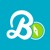 Brandinal Logotype