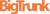 Bigtrunk Communications Pvt Ltd Logotype