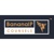 BananaIP Counsels Logotype