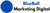 BlueBall Logotype