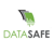 DataSafe Inc. Logotype