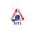 BestInfoTechSolution Logotype