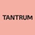 Tantrum Studio Logotype