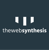 The Web Synthesis Logotype