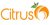 Citrus 6 Logotype