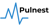 Pulnest Software Logotype