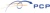 PCP- Premier Consulting Partners Logotype