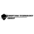 Choptank Technology Group Logotype