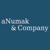 aNumak & Company Logotype