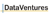 Data Ventures Corporation Logotype