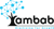 Ambab Infotech Logotype