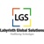 Labyrinth Global Solutions Logotype