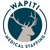 Wapiti Medical Staffing Logotype