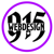 915 Web Design Logotype