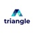 Triangle Technology Services Logotype