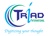 Triad International Pvt. Ltd. Logotype