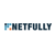 Netfully Logotype
