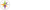 Shackleton Technologies Logotype
