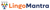 Lingo Mantra Translation Services Private Limited Logotype