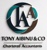 TONY AIBINU & CO (CHARTERED ACCOUNTANTS) Logotype