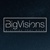 BigVisions Logotype