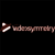 Video Symmetry Global Logotype