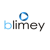 Blimey Logotype